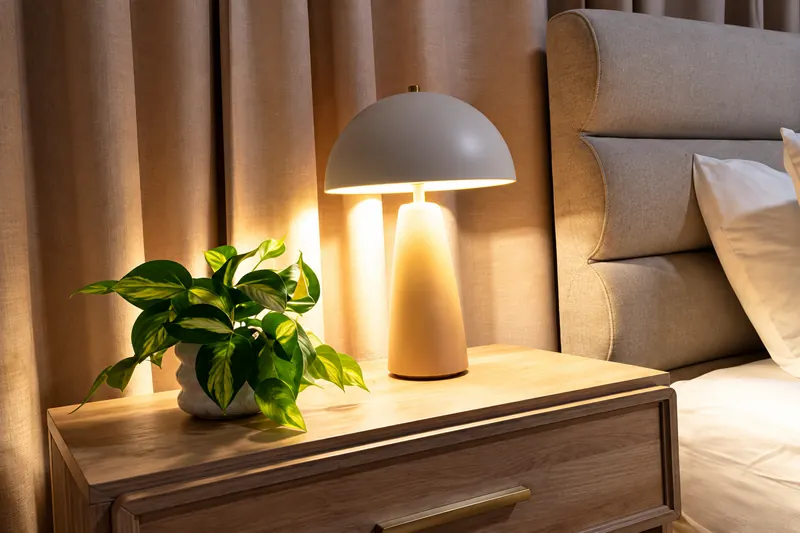 Mushroom table lamp and plant on an oak nightstand